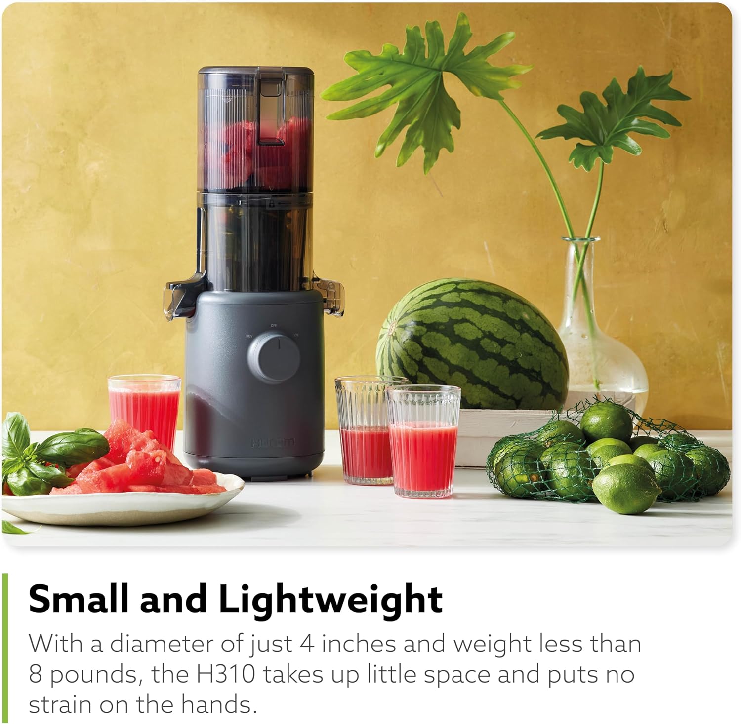 Hurom H310A Personal Self Feeding Slow Masticating Juicer (Matte Black) - Image 9