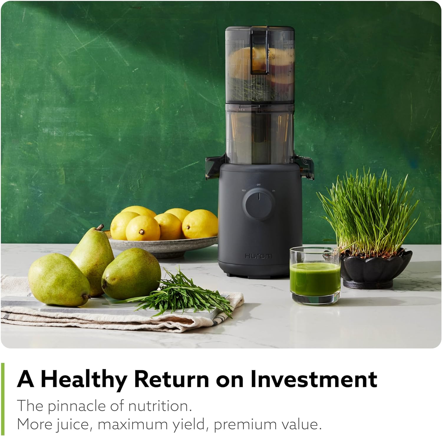 Hurom H310A Personal Self Feeding Slow Masticating Juicer (Matte Black) - Image 4